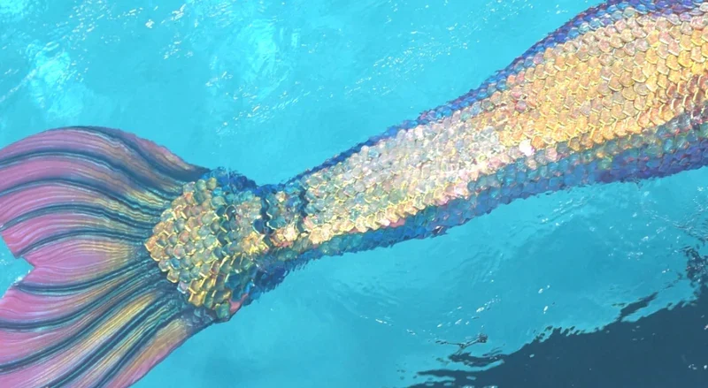 5 Best Affordable Mermaid Tails for Beginners in 2026